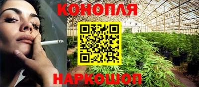 ECSTASY Гудермес